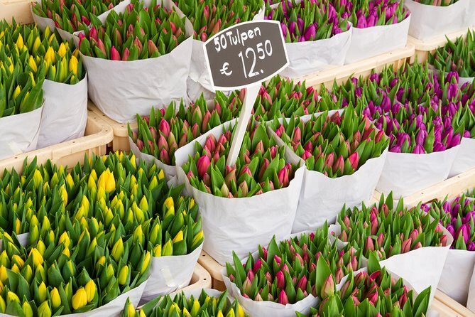 Amsterdam local transfers - The Sum Up