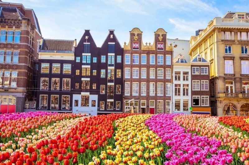 Amsterdam: Must-See Attractions Guided Walking Tour - Final Thoughts on the Tour