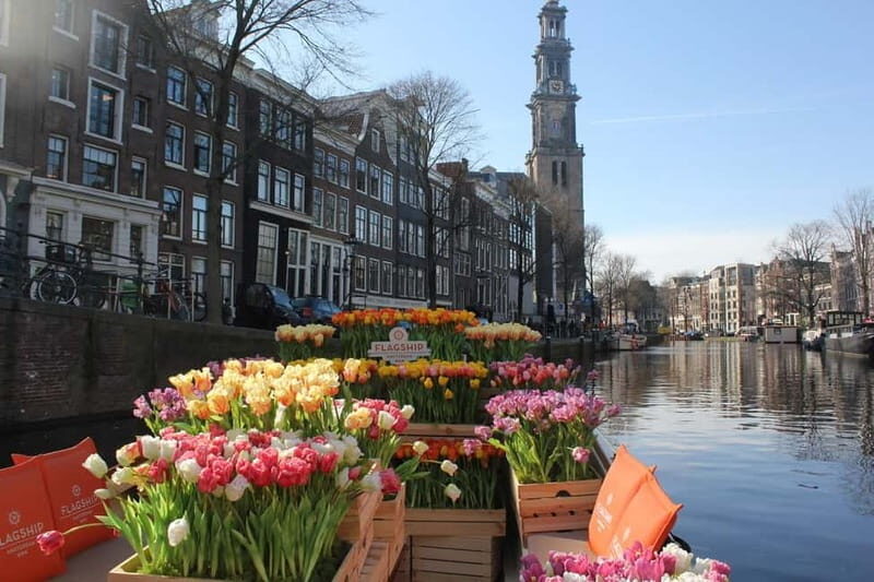 Amsterdam: Premium Tulip Boat Canal Tour - An In-Depth Look at the Experience