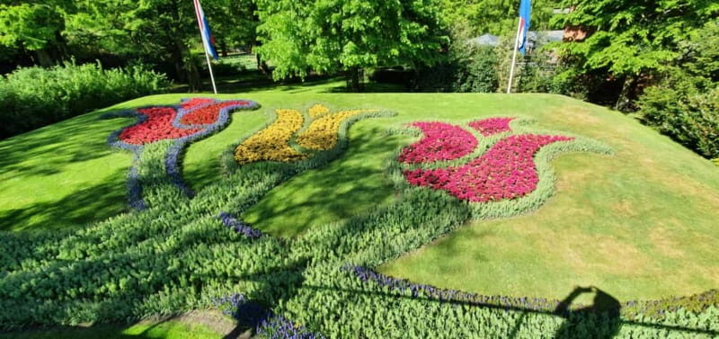 Amsterdam: Private Tour to Keukenhof & Free Tulip Experience - Exploring the Tour in Detail