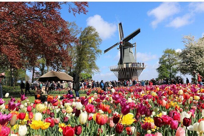 Amsterdam Private Transfer to Keukenhof Gardens - FAQs