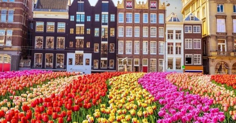 Amsterdam: Red Light District Walking Tour - Key Points