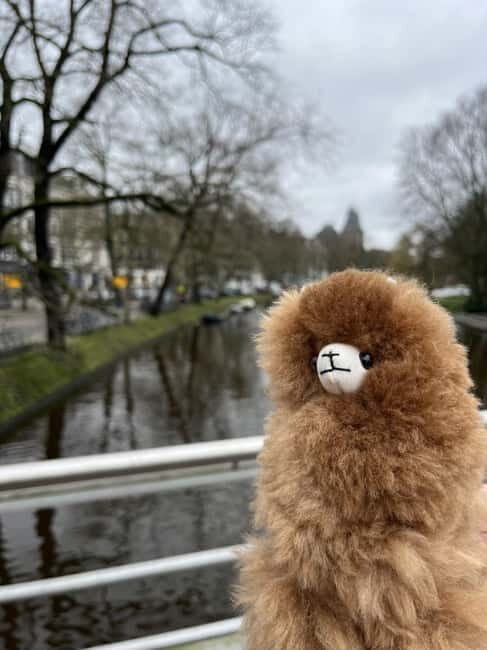 Amsterdam: Rijksmuseum Private Guided Tour & Entry Tickets - Value and Price Consideration