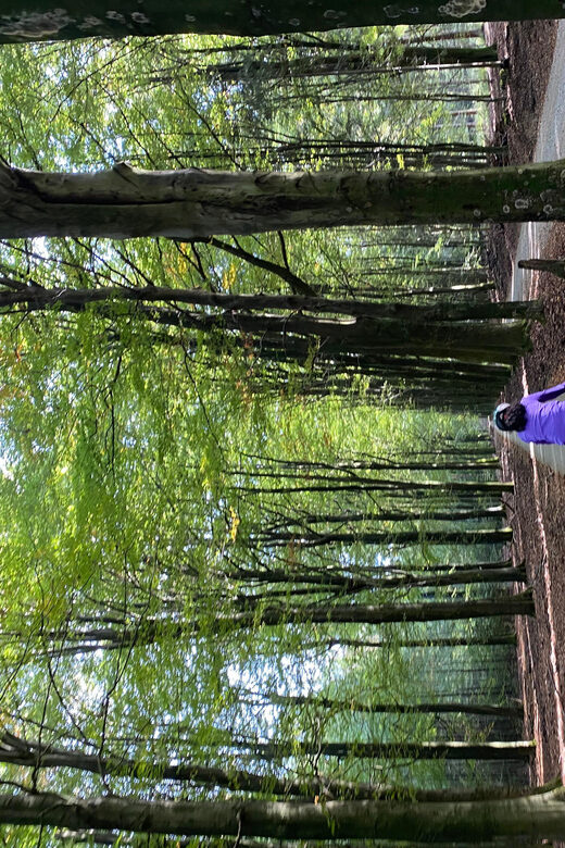 Amsterdam: Road Bike Rental with Self Guided Tour - Final Thoughts