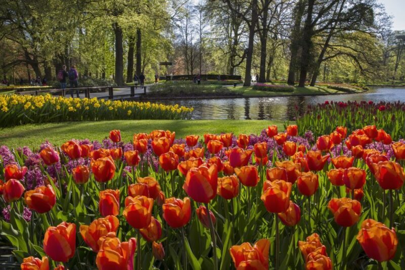 Amsterdam: Tour to Keukenhof Gardens with Windmill Cruise - FAQ