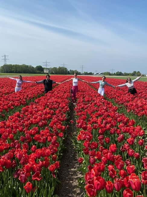Amsterdam: Tulip Farm Visit, Keukenhof, and Windmill Cruise - The Complete Experience: What to Expect
