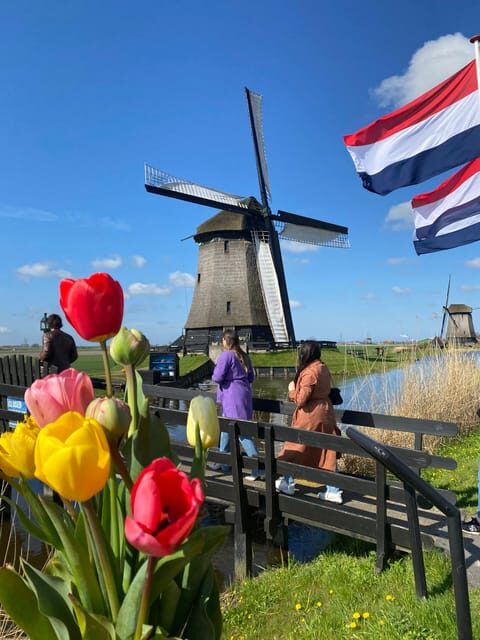Amsterdam: Tulip Fields Day Tour with Lunch & Windmill - A Deep Dive into the Tulip Fields Day Tour