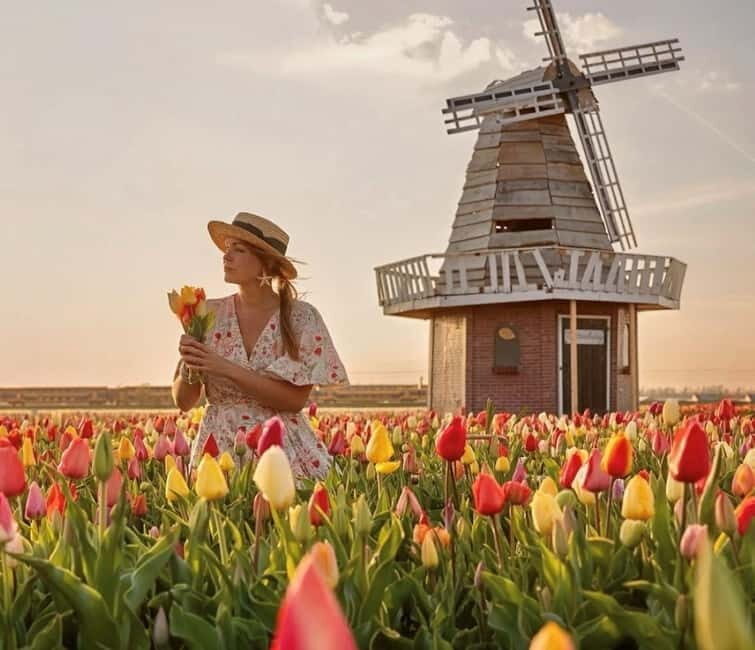 Amsterdam : Tulip Wonderland Tour - Practical Tips for Travelers