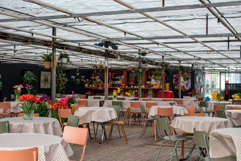 Amsterdam : Tulip Wonderland Tour - Who Is This Tour Best Suited For?