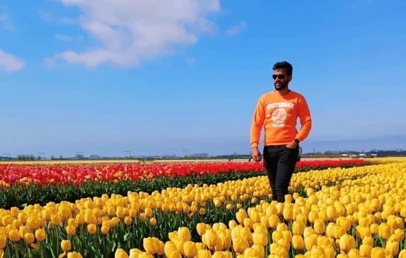 Amsterdam : Tulip Wonderland Tour - The Sum Up
