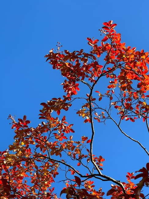 Amsterdam: Ultimate City Park Tour - FAQs