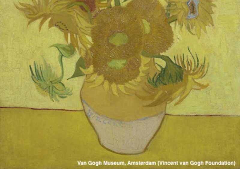 Amsterdam: Van Gogh Museum Guided Tour with Entry - Highlights of the Collection