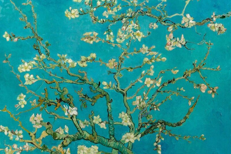 Amsterdam: Van Gogh Museum Ticket and City Canal Cruise - Who Would Love This Experience?