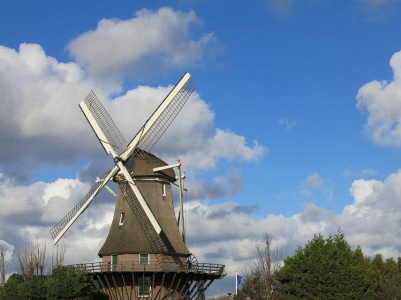 Amsterdam: Windmill Guided Tour - Introduction