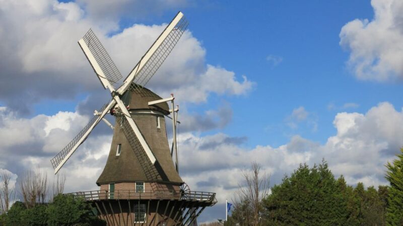 Amsterdam: Windmill Guided Tour - Artistic and Cultural Elements