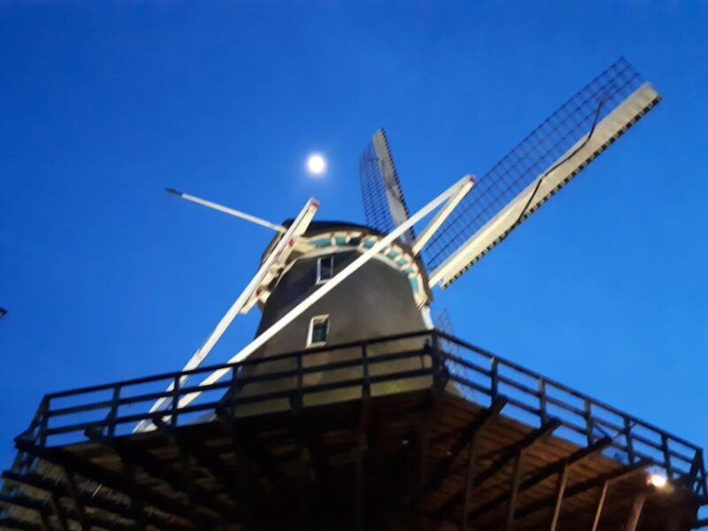 Amsterdam: Windmill Guided Tour - The Views and Surroundings