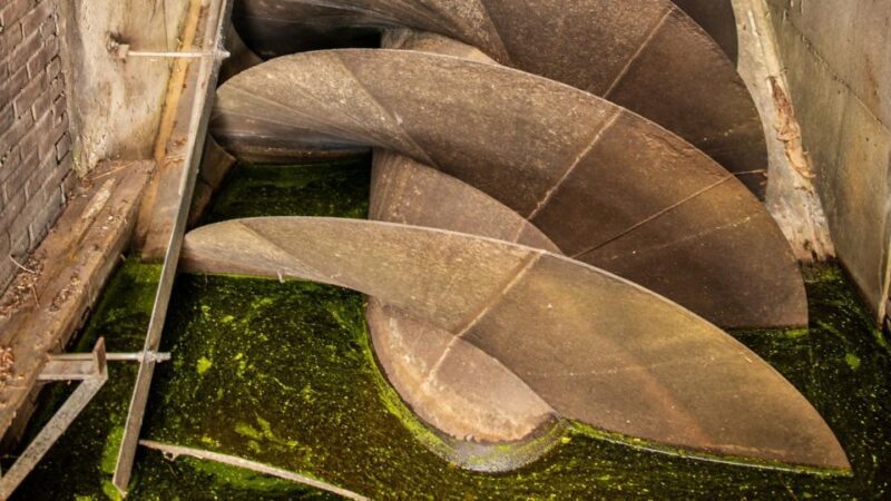 Amsterdam: Windmill Guided Tour - Practical Details & Considerations