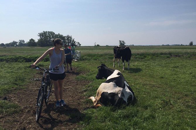 Amsterdam's Countryside Half-Day Bike Tour in Small Group - The Practicalities and Value of the Tour