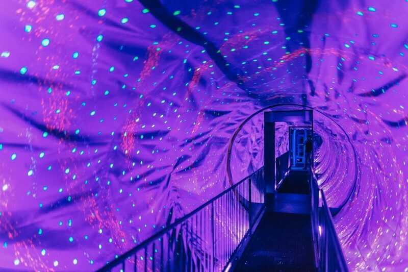 Amsterdam's Weirdest Museum: Ripley's Believe It or Not! - Accessibility and Practical Details