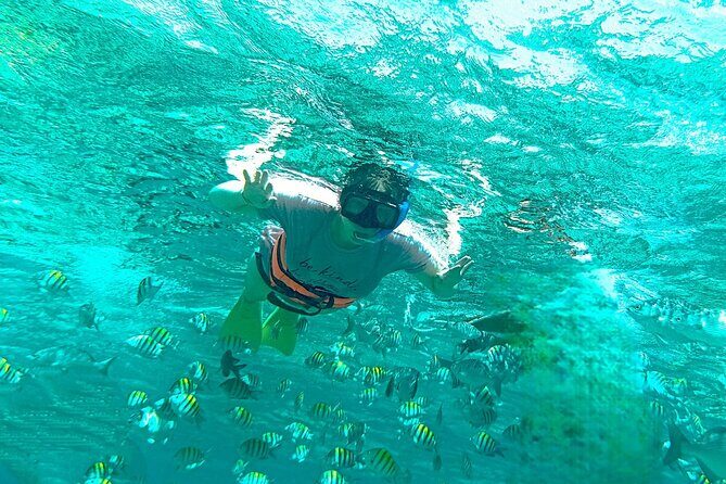 Amusing Catamaran trip to Isla Mujeres + Open bar + Ice Bar - The Authentic Experience and Authenticity