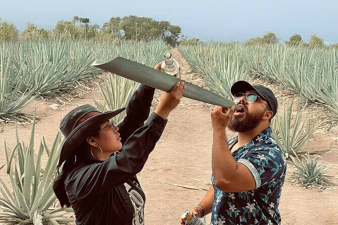 An adventure for the senses: Mezcal, fields and crafts. - The Heart of Mezcal Country