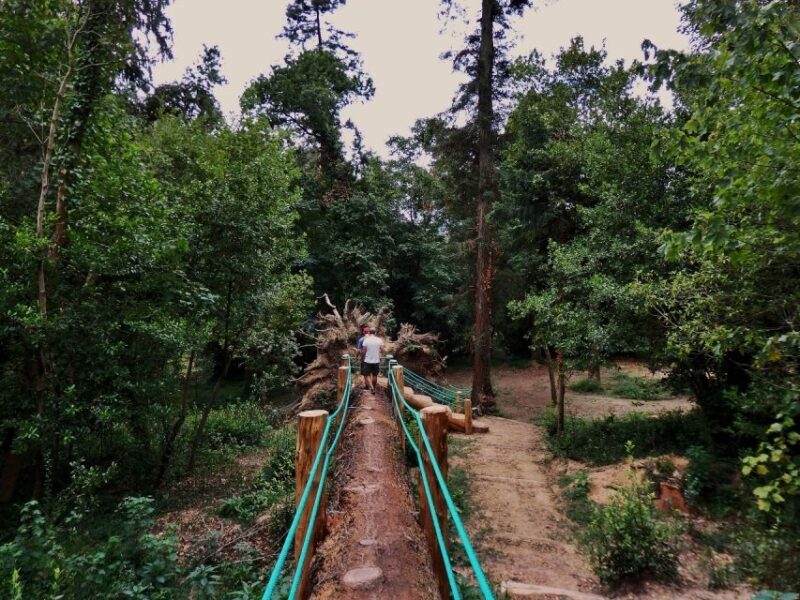 An adventure through the Forest and Palace of Bussaco - Coim - Key Points