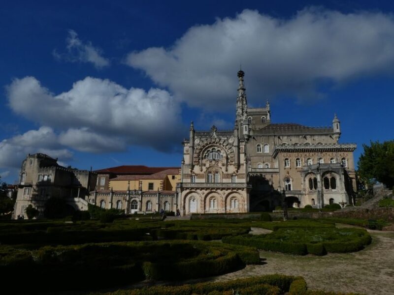 An adventure through the Forest and Palace of Bussaco - Coim - Exploring the Bussaco Forest and Palace