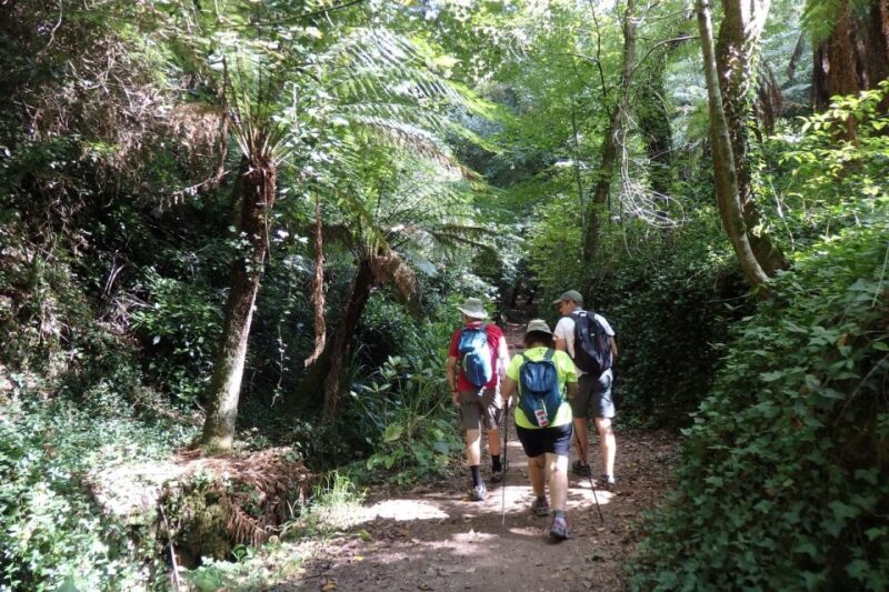 An adventure through the Forest and Palace of Bussaco - Coim - FAQ