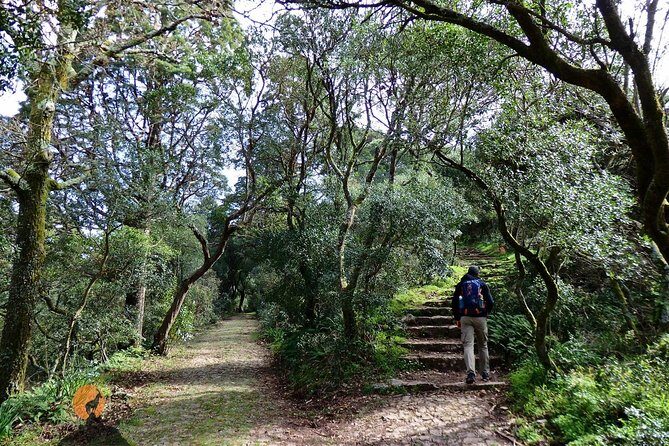 An adventure through the Forest and Palace of Bussaco - Coimbra - Final Thoughts on Value and Who It’s For