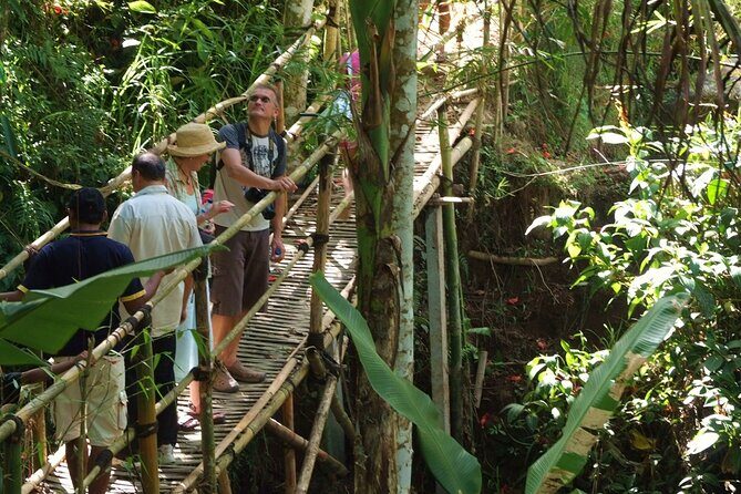 An Eco-Walk through Green Bali - Key Points