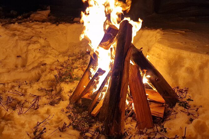 An Evening in the Backcountry, Northern Lights on a Sleighride - Final Thoughts