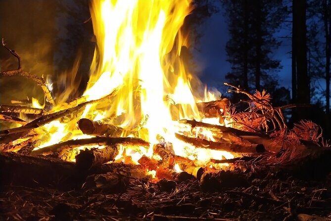 An Evening in the Backcountry, Northern Lights on a Sleighride - FAQ
