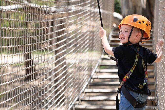 An exciting, Tree Top Adventure for Our Littlest Adventurers - Key Points