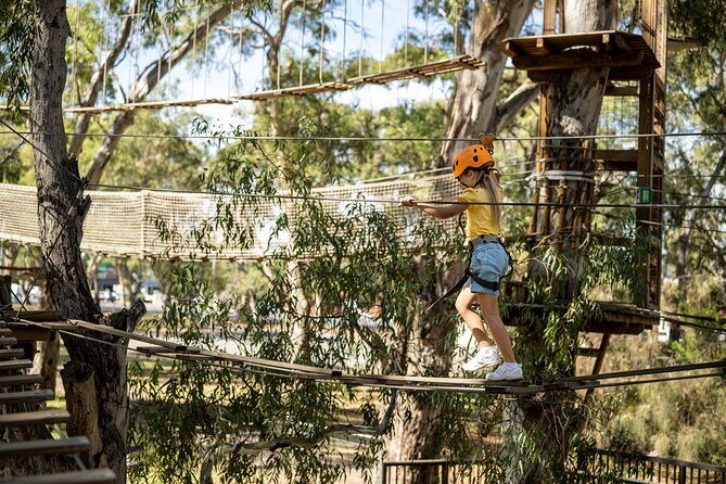 An exciting, Tree Top Adventure for Our Littlest Adventurers - The Experience: What to Expect at TreeClimb Adelaide
