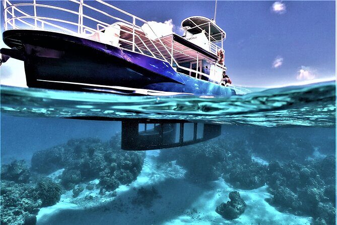 An Immersed Day in Bora Bora with O-sea - FAQ