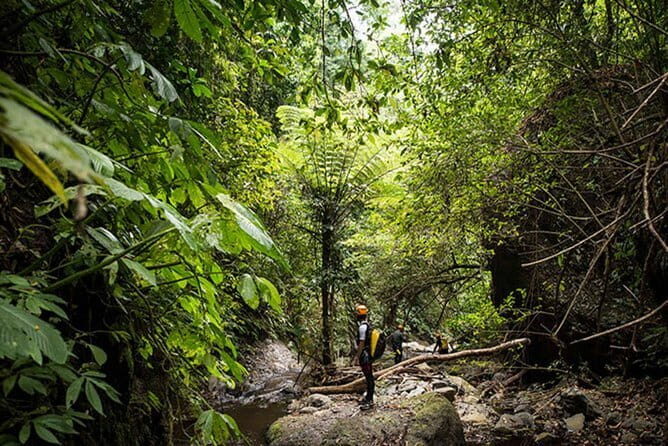 An Unforgettable Canyoning Adventure in Tamata Bali Waterfall - Exploring the Tamata Canyon Canyoning Tour in Depth