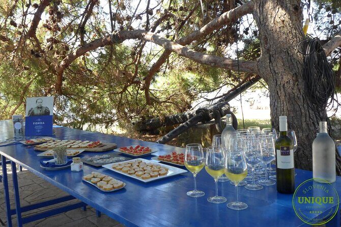 An Unforgettable Day With Fish, Wine and Olive Oil Tasting - Who Will Love This Tour?