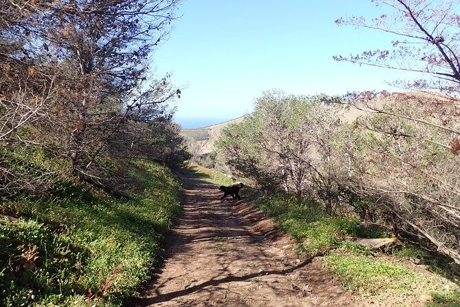 Ana Ferreira Caves & Peaks Trekking - Final Thoughts