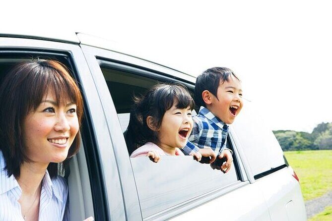 Anaheim Resort Private Car Service to Los Angeles. - The Value of This Service