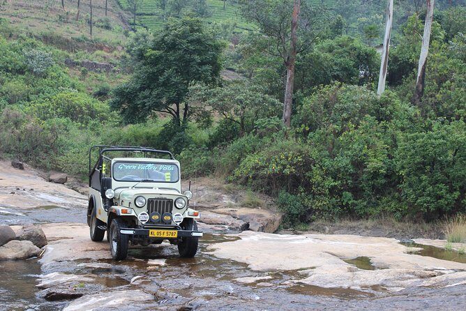Anakulam Wild Elephant Village life tour ( By Munnar Info) - A Deep Dive Into the Tour Experience