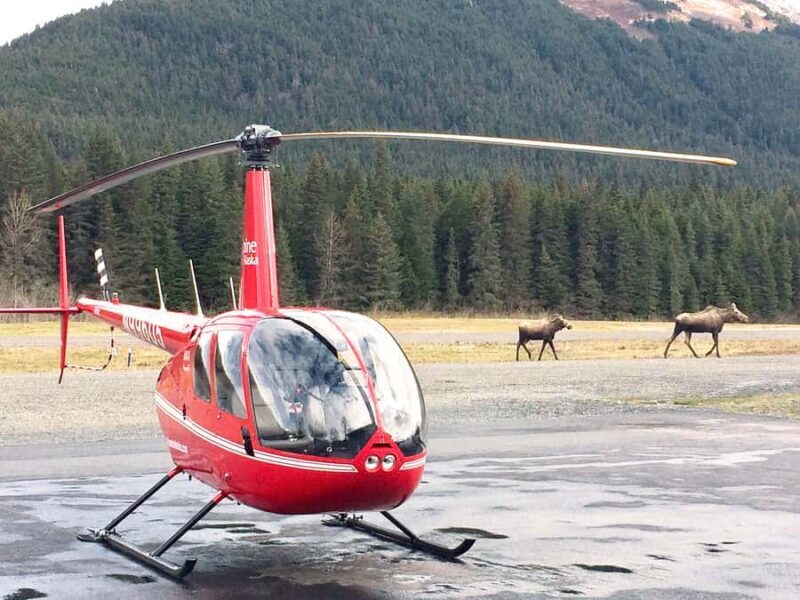 Anchorage: 30-min Helicopter Flightseeing Tour - Introduction