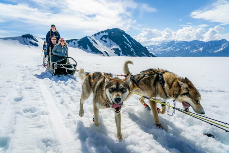 Anchorage Area: Helicopter and Glacier Dogsled Tour - A Closer Look at the Tour Experience