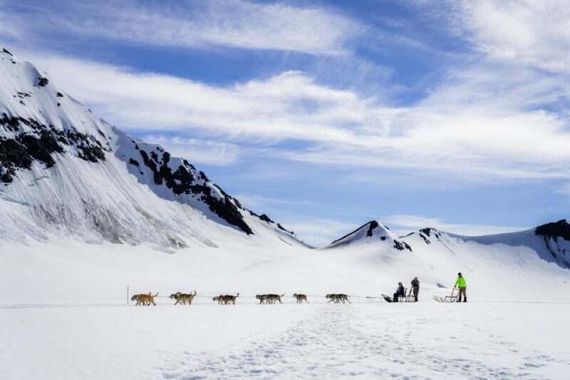 Anchorage Area: Helicopter and Glacier Dogsled Tour - Authentic Insights from Past Travelers