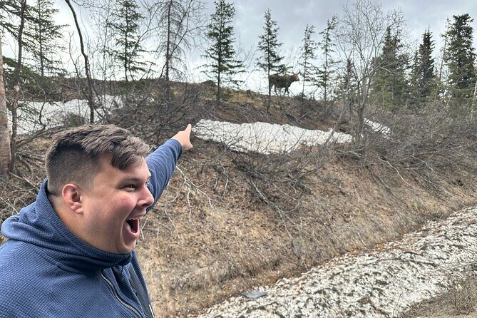 Anchorage City Tour and Highlights - Why You Should Consider This Anchorage City Tour