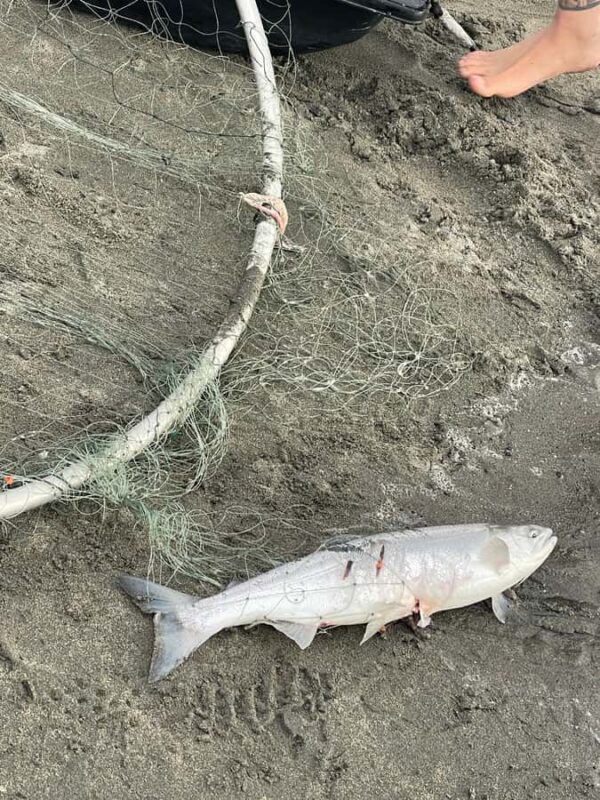 Anchorage discovery tour - Key Points