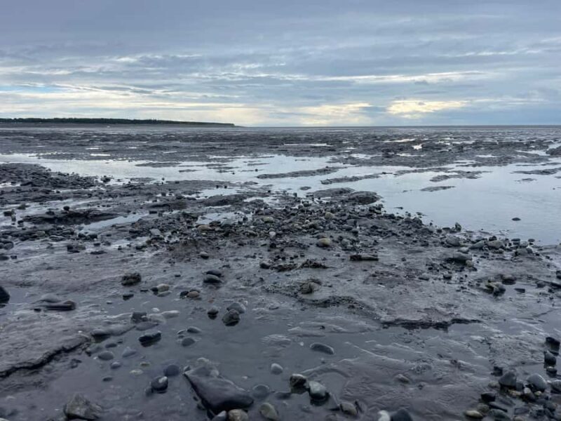 Anchorage discovery tour - An In-Depth Look at the Anchorage Discovery Tour