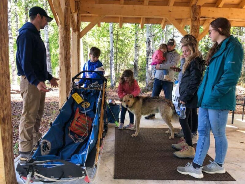 Anchorage: Dog Sled Ride in Willow with Transfers - Authenticity and Personal Touch