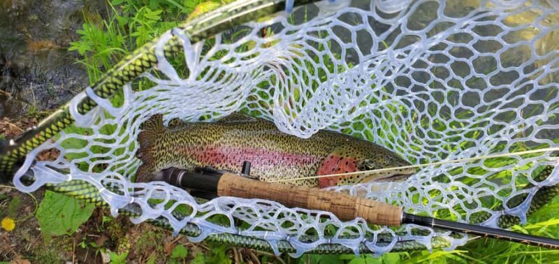 Anchorage: Full-day guided fly-fishing with Hotel Pickup - Key Points