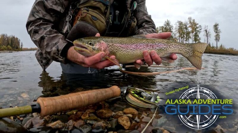 Anchorage: Full-day guided fly-fishing with Hotel Pickup - What to Expect on Your Fly-Fishing Trip