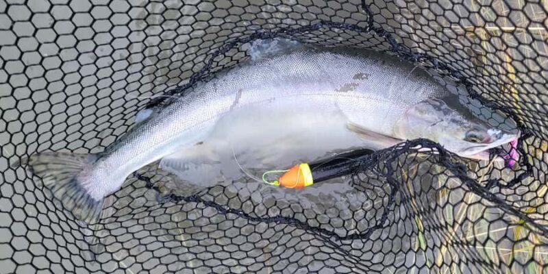 Anchorage: Full-day guided salmon fishing with Hotel Pickup - Exploring the Itinerary: A Day in the Wilds of Anchorage